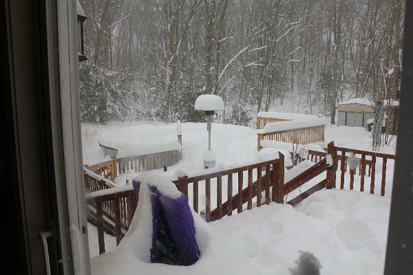 New Camera Dec2010 368